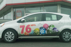 egg-car